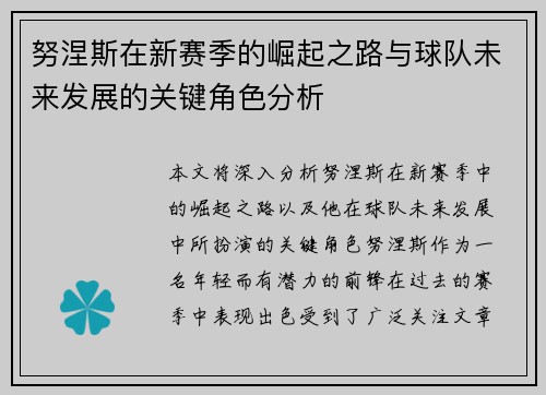 努涅斯在新赛季的崛起之路与球队未来发展的关键角色分析