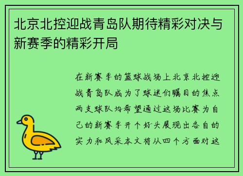 北京北控迎战青岛队期待精彩对决与新赛季的精彩开局