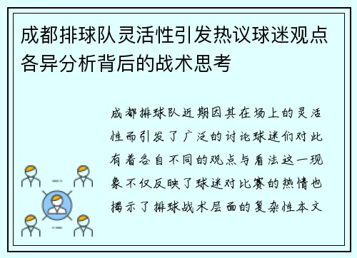 成都排球队灵活性引发热议球迷观点各异分析背后的战术思考