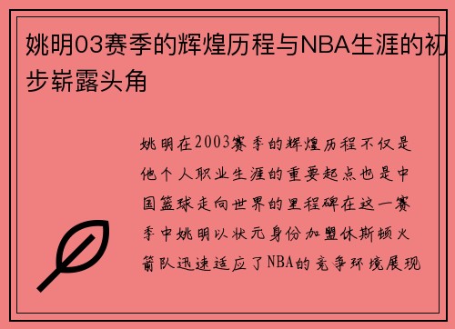 姚明03赛季的辉煌历程与NBA生涯的初步崭露头角