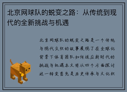 北京网球队的蜕变之路：从传统到现代的全新挑战与机遇