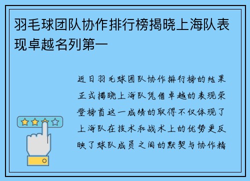 羽毛球团队协作排行榜揭晓上海队表现卓越名列第一