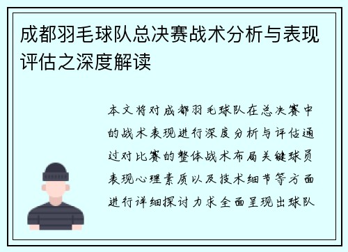 成都羽毛球队总决赛战术分析与表现评估之深度解读