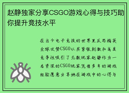 赵静独家分享CSGO游戏心得与技巧助你提升竞技水平